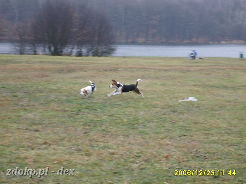 2006-12-23.02_dex_rusalka.JPG - wigilijny spacer nad Rusałką