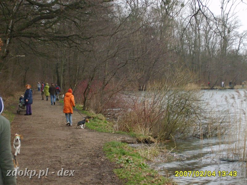 2007-02-04.20_dex_rusalka.JPG - ... spacer wokół jeziora ...