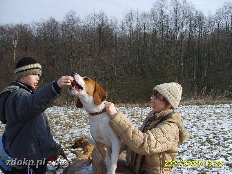 2007-02-25.12_dex_rusalka.JPG - ćwiczenia Beagli na łąkach niedaleko hipodromu Wola