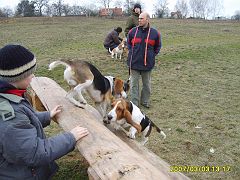 2007-03-03.3_beagle